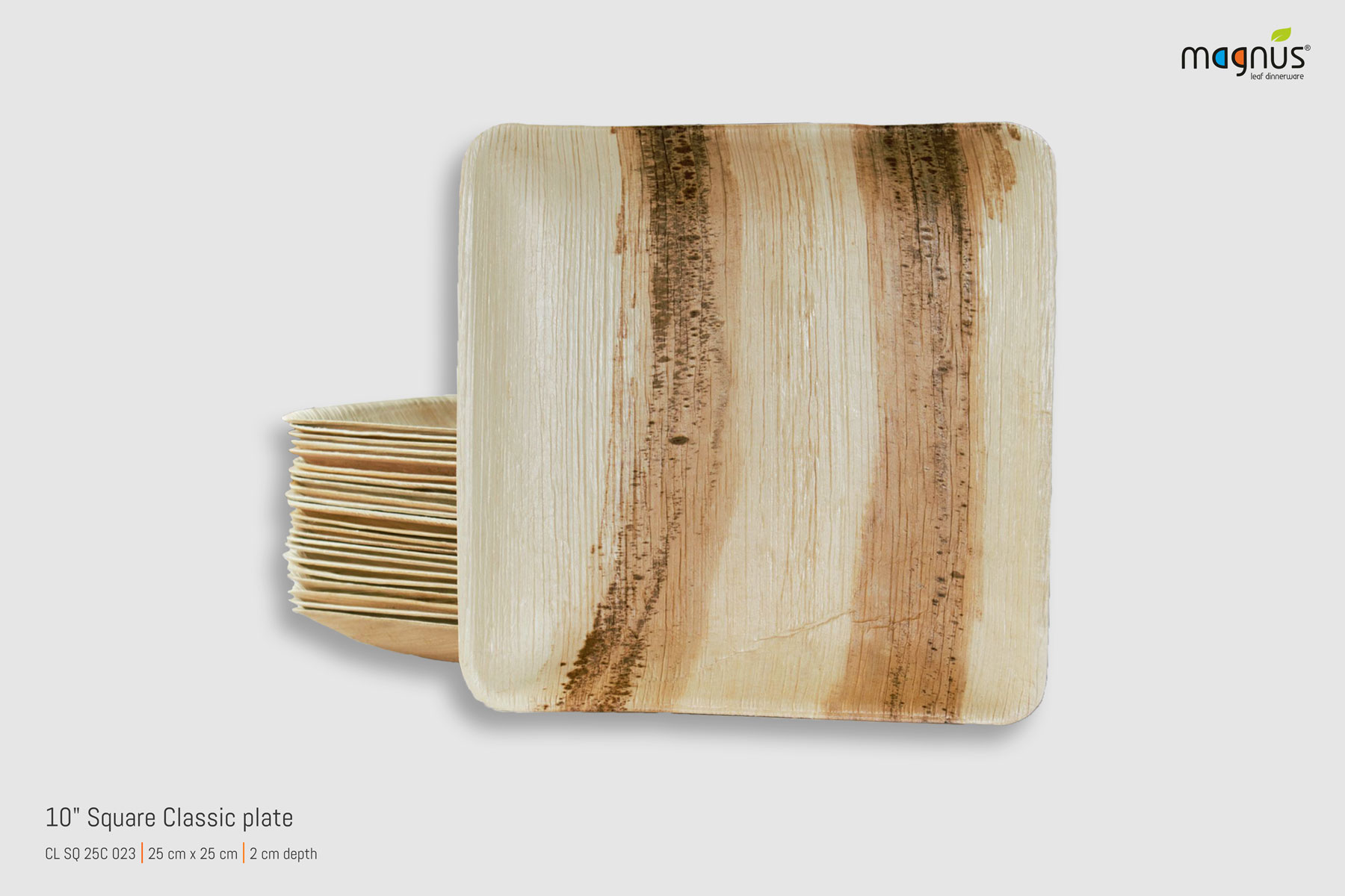 Square Palm leaf Plates - 10i Square Plate