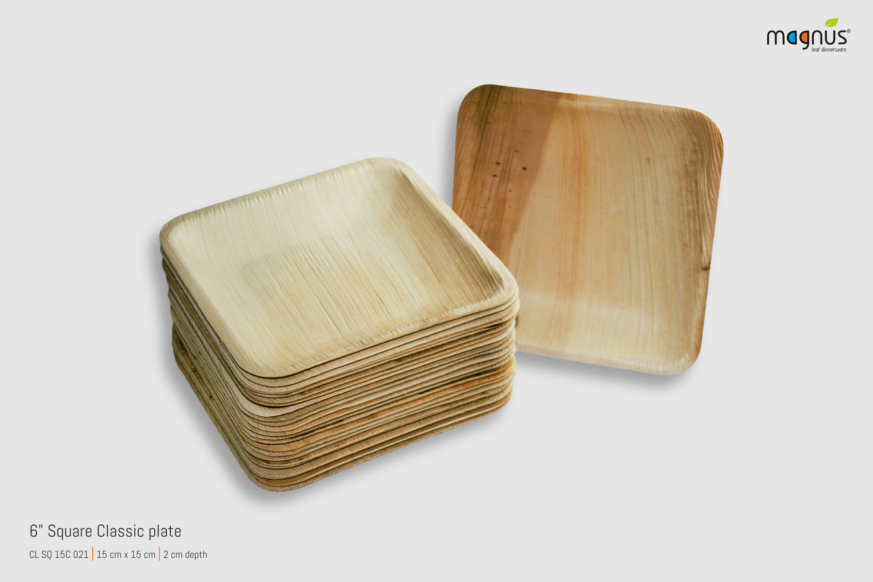 Square Palm leaf Plates - 6i Square Plate