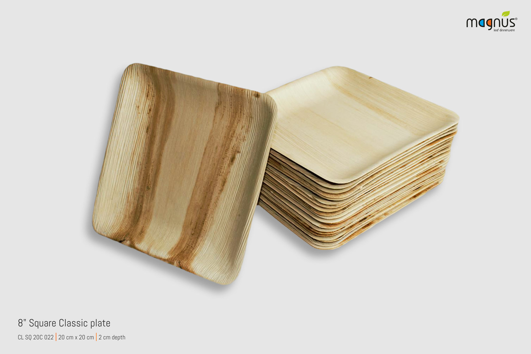 Square Palm leaf Plates - 8i Square Plate