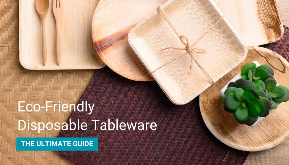 Eco-Friendly Disposable Tableware Guide