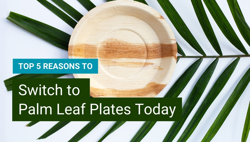 Switch to Palm Leaf Plates Today