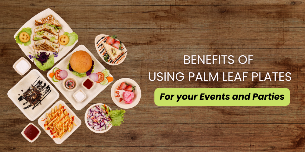 Benefits of Using Palm Leaf Plates for Your Events and Parties - Palmware