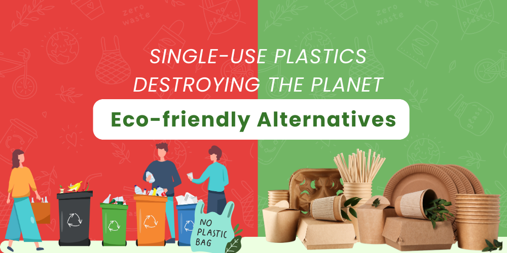 How Single Use Plastics Destroying the Planet and Eco Friendly Alternatives - Palmware