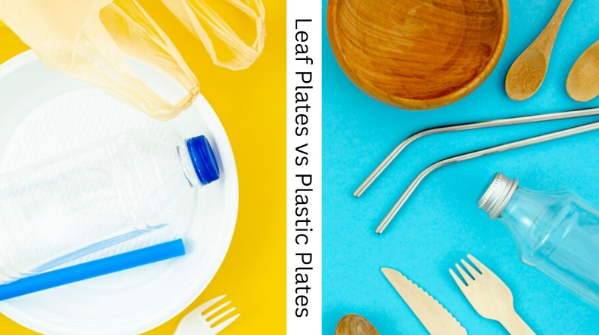 Leaf-Plates-vs-Plastic-Plates