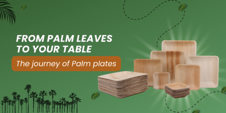 The Journey of Palm Plates: From Palm Leaves to Your Table