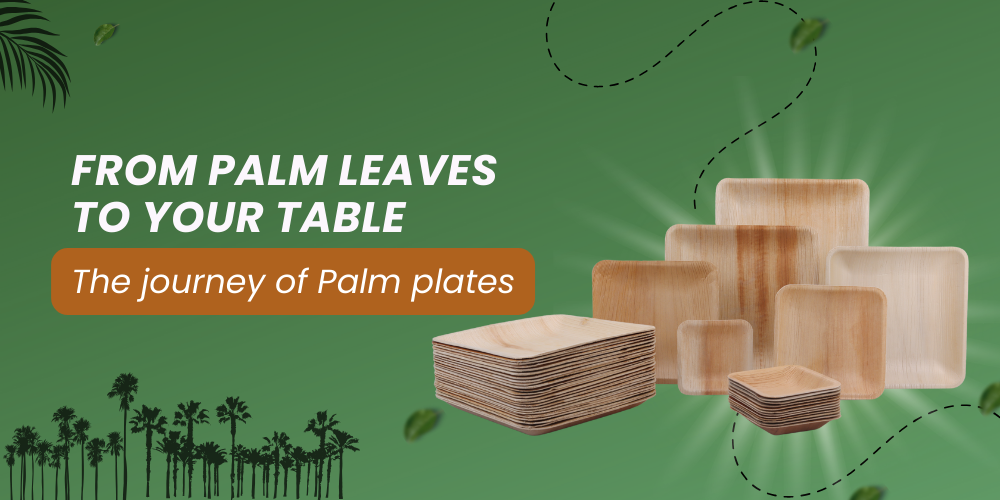 From Palm Leaves to Your Table: The Journey of Palm Plates - Palmware