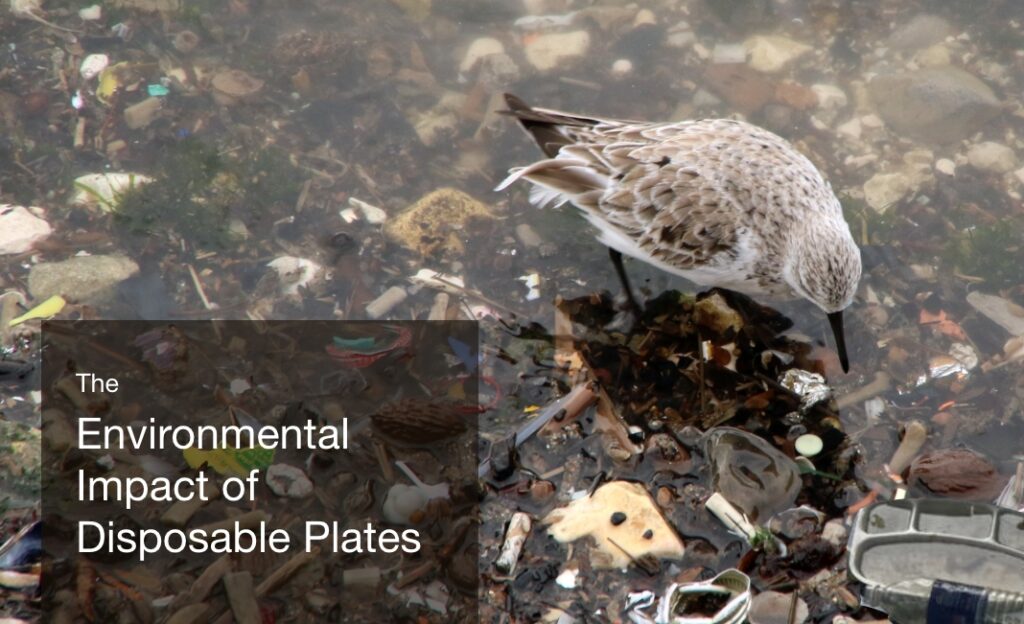 The Environmental Impact of Disposable Plates Why Choose Palm Leaf Tablewares - Palmware